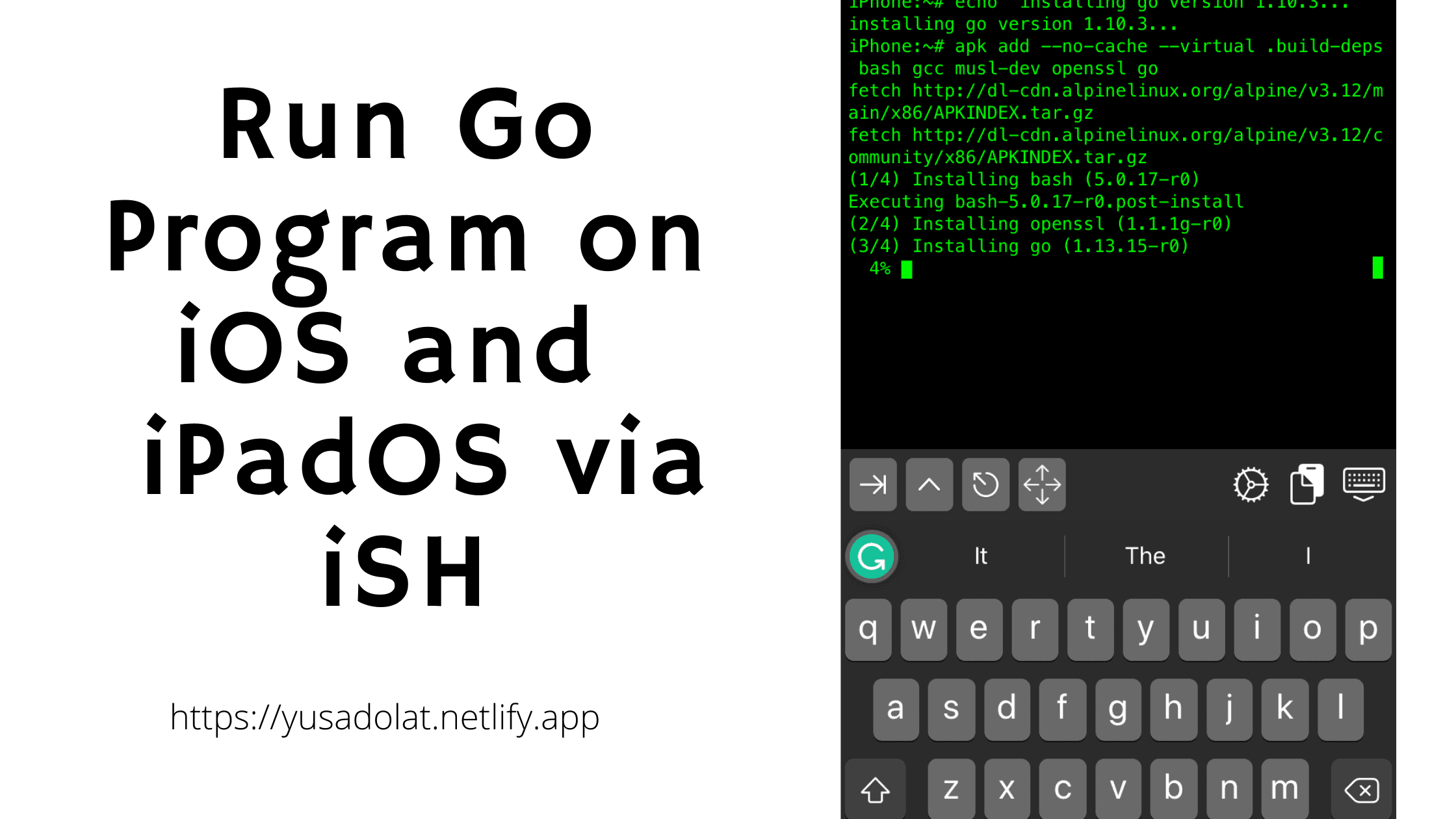 Running Go Program on iOS and iPadOS with iSH